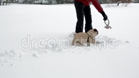 那个玩玩具的女人和她在大雪中打鼓的女人视频的预览图