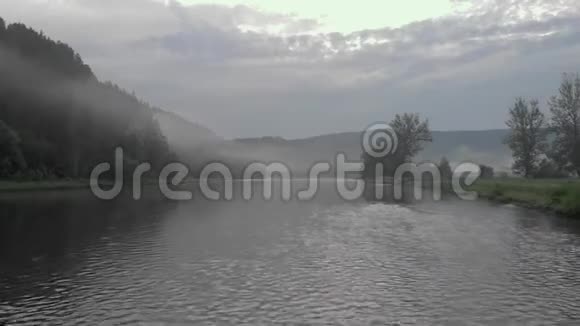 雾中河边美丽的森林视频的预览图