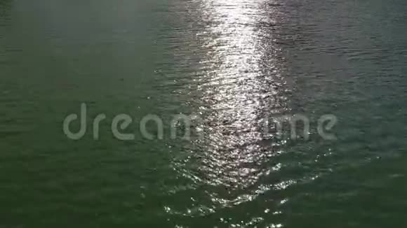 太阳光线反射水面视频的预览图