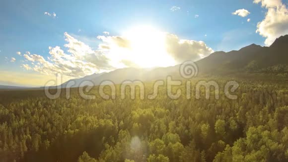日落时观赏令人惊叹的山景太阳照亮了树梢视频的预览图
