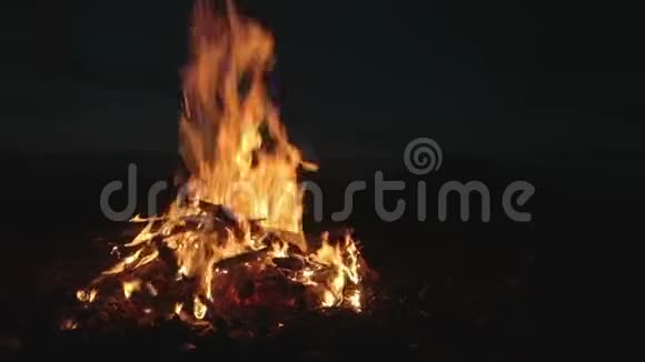 晚上燃烧篝火游客在营地夏天视频的预览图