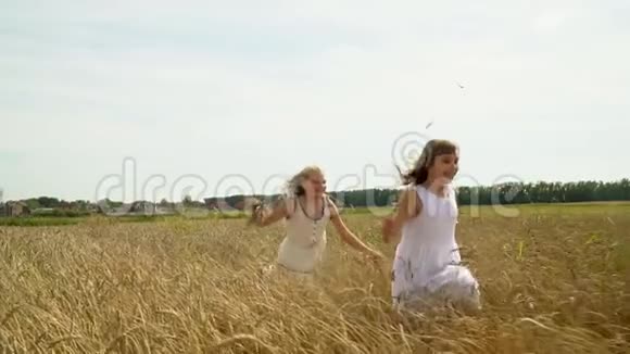 两个女孩跑在金色的麦田上两个美丽可爱的女孩穿着白色的浅色连衣裙穿过田野视频的预览图