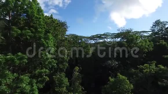 塞舌尔群岛海滩全景图3视频的预览图