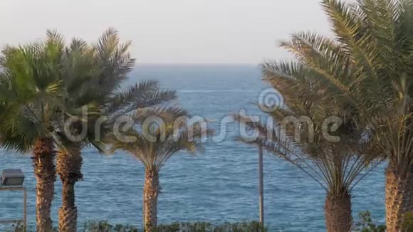 游艇沿着海岸漂浮着热带棕榈树从岸上眺望视频的预览图