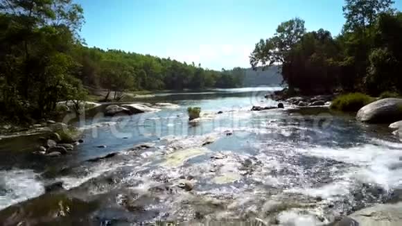 河流湍急的溪流在森林中冲刷石块视频的预览图