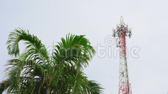 电信塔的蜂窝通信互联网和电视对抗蓝天与棕榈树视频的预览图