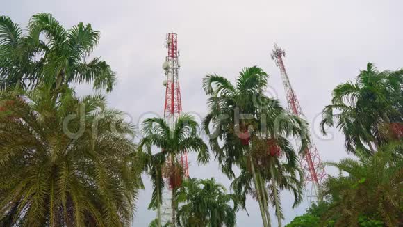 用于热带棕榈树的蜂窝通信和电视广播的电信天线视频的预览图