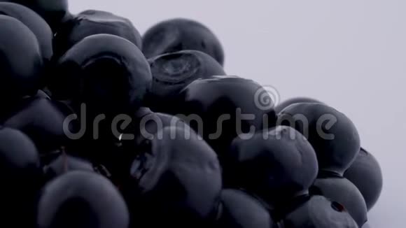 超级紧密的大蓝莓旋转在转盘上隔离在白色背景上视频的预览图