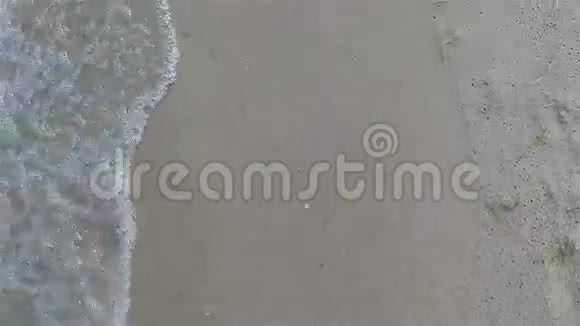 在海滩上散步视频的预览图