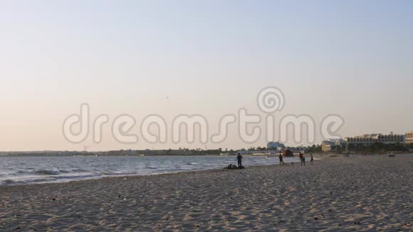 少年儿童在海边散步时在地平线上玩狗夏季活动视频的预览图