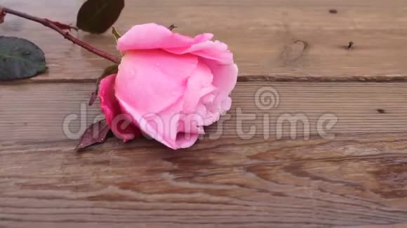 粉红色的花在木头上视频的预览图