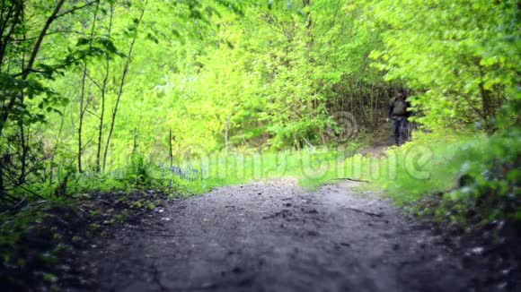 在森林里徒步旅行的人视频的预览图