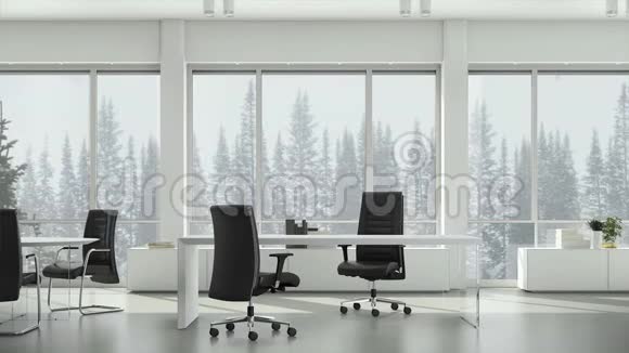 从商务办公室的窗口观看冬季降雪的背景针叶树和多云的天空背景板视频的预览图