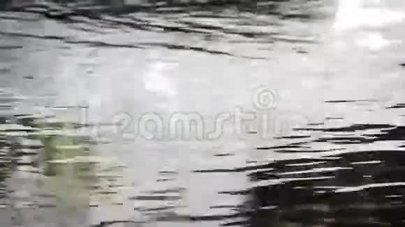 水的河流视频的预览图