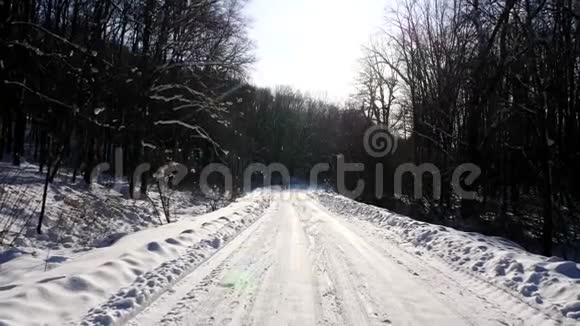 阳光明媚的一天在森林的雪道上镜头移动视频的预览图