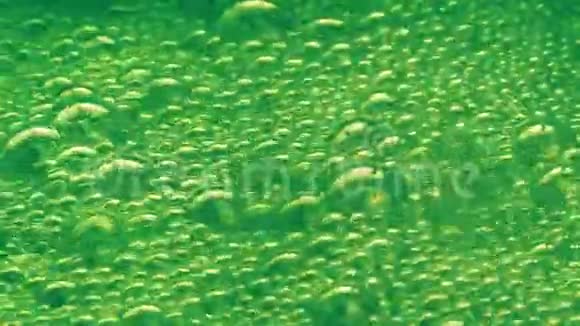 泡泡绿汽水饮料特写视频的预览图
