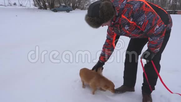 冬天寒冷的日子人们爱抚狗和小狗狗在下雪的路上和主人玩冬天宠物视频的预览图