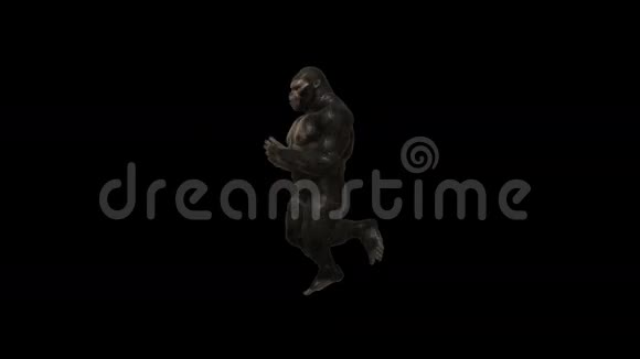 大猩猩搞笑嘻哈街舞1视频的预览图