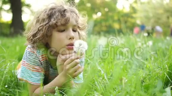一个严肃的孩子躺在夏天的草地上手里拿着一朵花一个卷发男孩吹在蒲公英上儿童视频的预览图