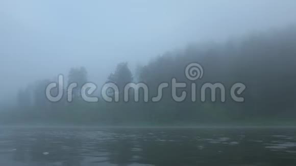 雾中河边美丽的森林视频的预览图