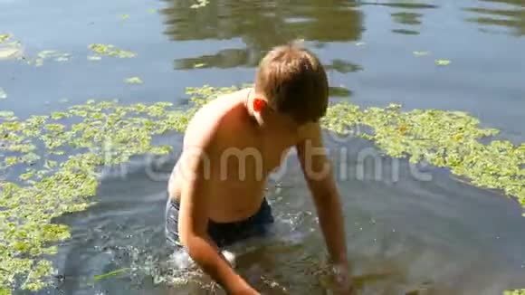 夏天十几岁的男孩正在一条野河里洗澡自然条件下河上的浮萍视频的预览图