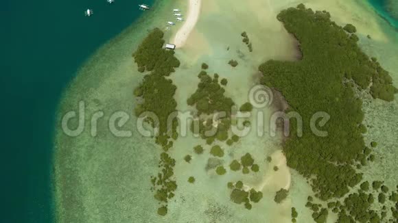 带沙滩的热带岛屿巴拉望菲律宾卢利岛帕拉万Princesa港岛上跳跳游视频的预览图