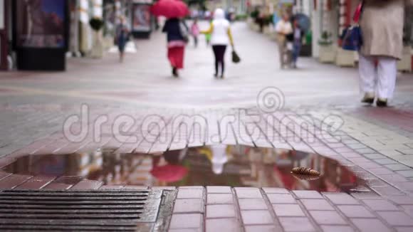 人们在雨中漫步视频的预览图