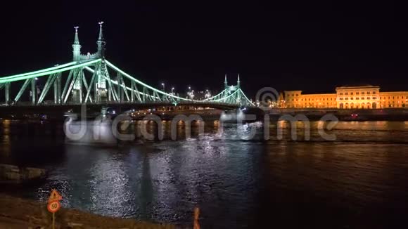 布达佩斯自由大桥视频的预览图