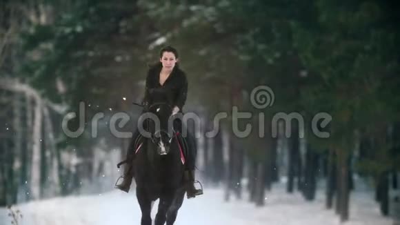 美丽的长发女子骑着一匹棕色的马穿过深深的雪堤缓慢的动作视频的预览图