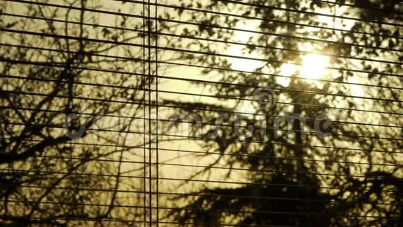 在美丽的日落日出结束和开放贾洛西视频的预览图