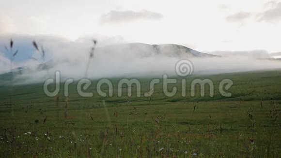 傍晚雾中的山景视频的预览图
