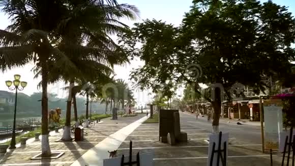 狗跑在老海安区美丽的河边视频的预览图