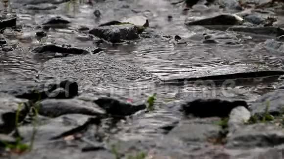 黑色背景拍摄的雨落视频的预览图