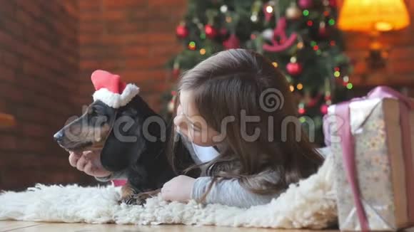 美丽的女孩与索瓦最喜欢的狗圣诞帽视频的预览图