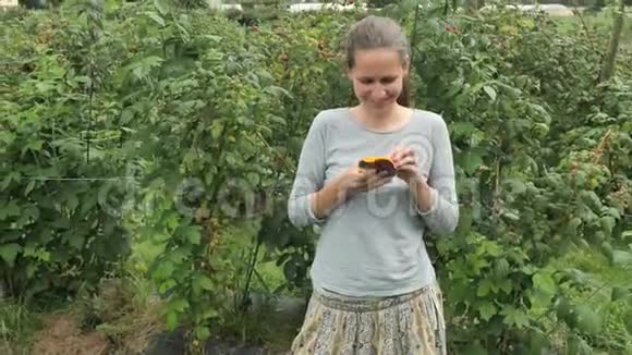 4k灰色女孩在绿色的田野山丘棕榈园木头和手的农村背景下输入智能手机视频的预览图