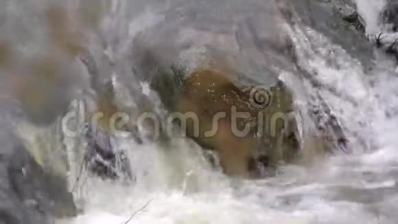 乔治亚州斯威沃特溪公园超级靠近斯威沃特溪的瀑布视频的预览图