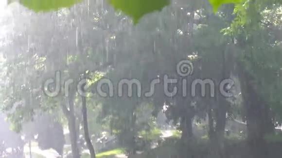 公园里下大雨视频的预览图