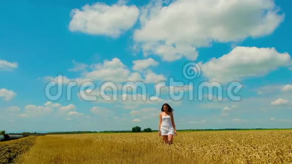 美丽的长发和白色短夏短裙的年轻黑发女子走在金色的麦田里视频的预览图