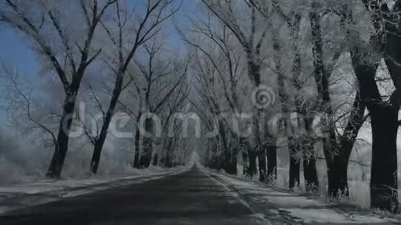 雪天在冬天的乡间小路上开车视频的预览图