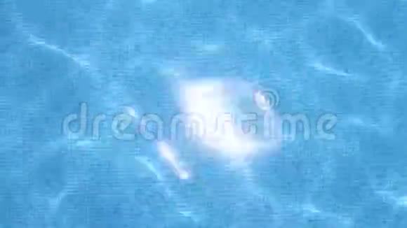 游泳池里的蓝色水反射太阳视频视频的预览图