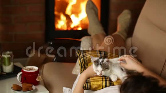 在壁炉旁的沙发上放松的女人在抚摸她的小猫视频的预览图
