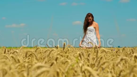 一位美丽的黑发年轻女子穿着白色短夏短裙在金色的麦田里散步视频的预览图