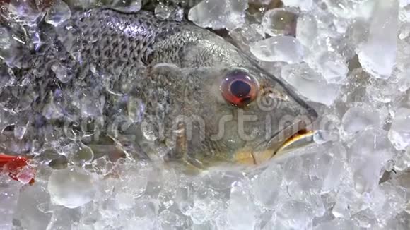 豪华海鲜餐厅现场菜单上的冰上银鱼视频的预览图