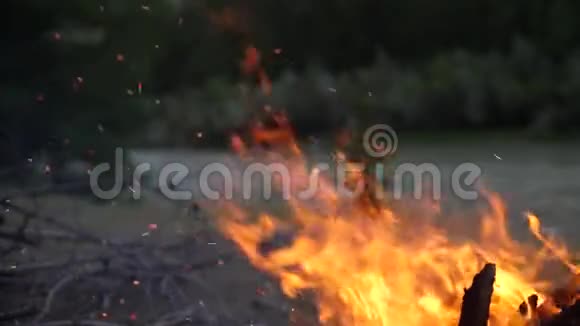 傍晚熊熊燃烧的篝火熊熊燃烧慢动作180fps火在河底燃烧火花视频的预览图