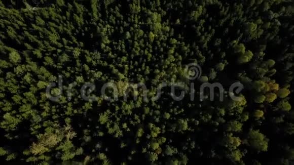 空中无人机飞过北欧森林4K射击视频的预览图