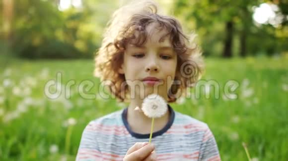 一个可爱的卷发男孩吹蒲公英夏日的林岚阳光儿童节动态视频视频的预览图
