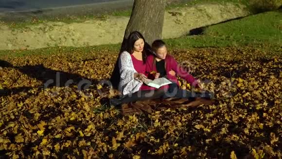 妈妈和女儿坐在树下看书他们说得很好妈妈和女儿在秋林里他们是视频的预览图
