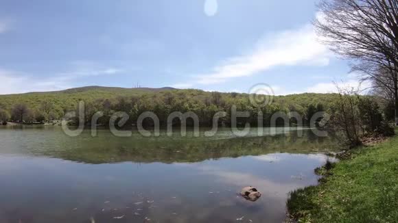 小女孩站在湖边看森林和湖泊全景视频的预览图