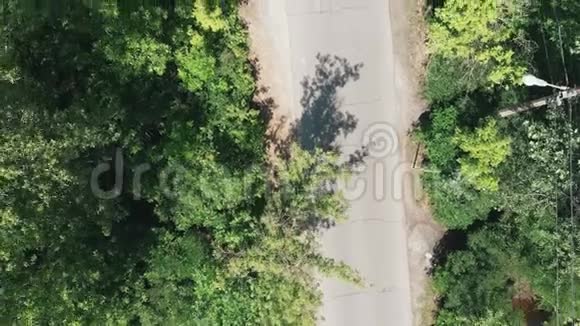 森林公园道路鸟瞰图无人机飞过绿色公园特鲁哈诺夫岛视频的预览图