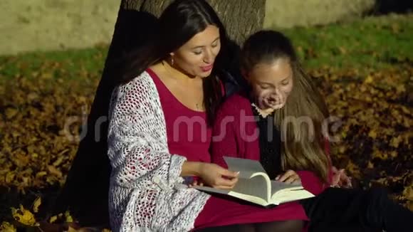妈妈和女儿坐在树下看书他们说得很好妈妈和女儿在秋林里他们是视频的预览图